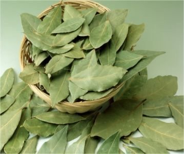 ورق غار