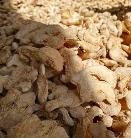 زنجبيل عيدان